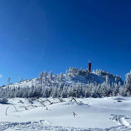 Bergtraum Braunlage Im Harz, 17 Gaeste, Sauna, Pool Villa Exteriör bild